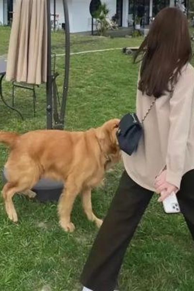 《海猫之约》番剧封面